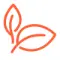 leaf orange icon